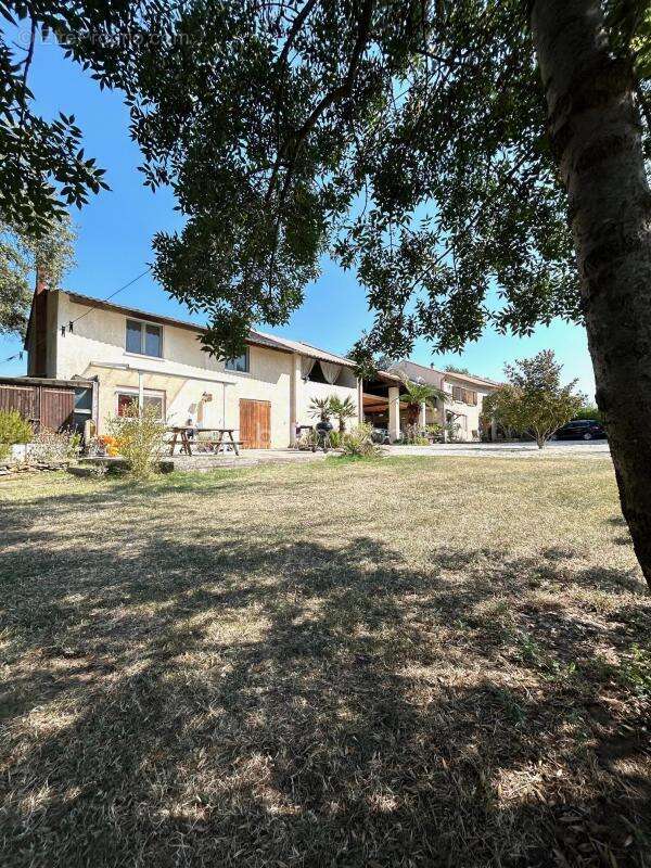 Domaine de 2,9 Hectares – Mas de 260 m² – 4 Logements - photo 4