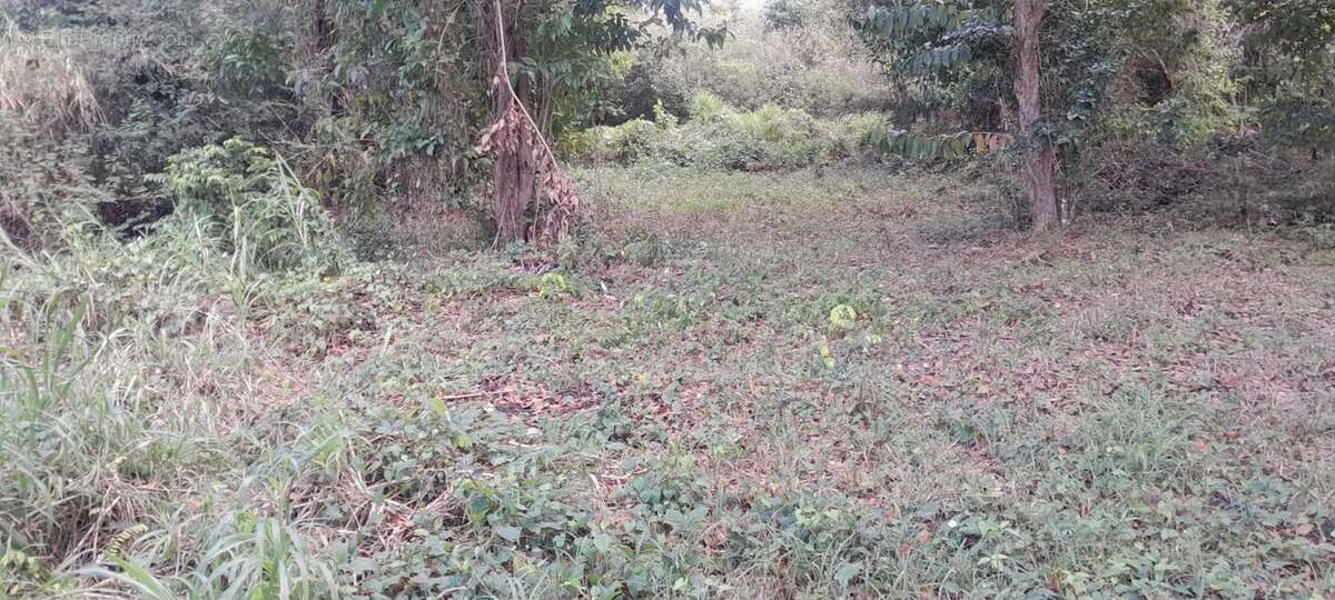 Terrain à CASE-PILOTE