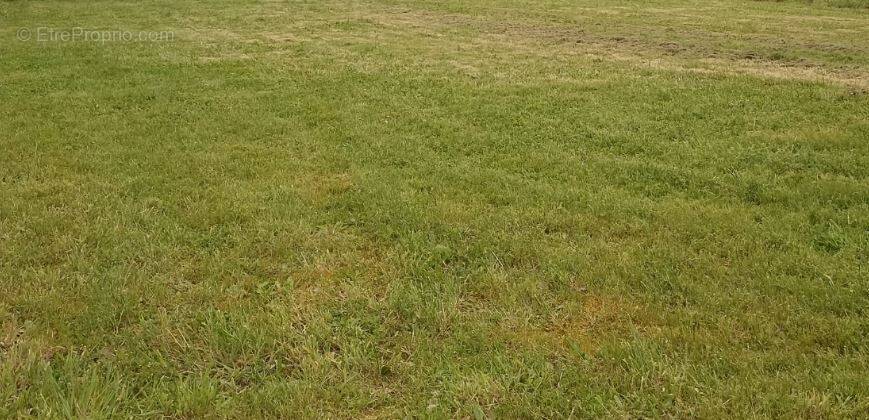 Terrain à SAINT-PERE-EN-RETZ