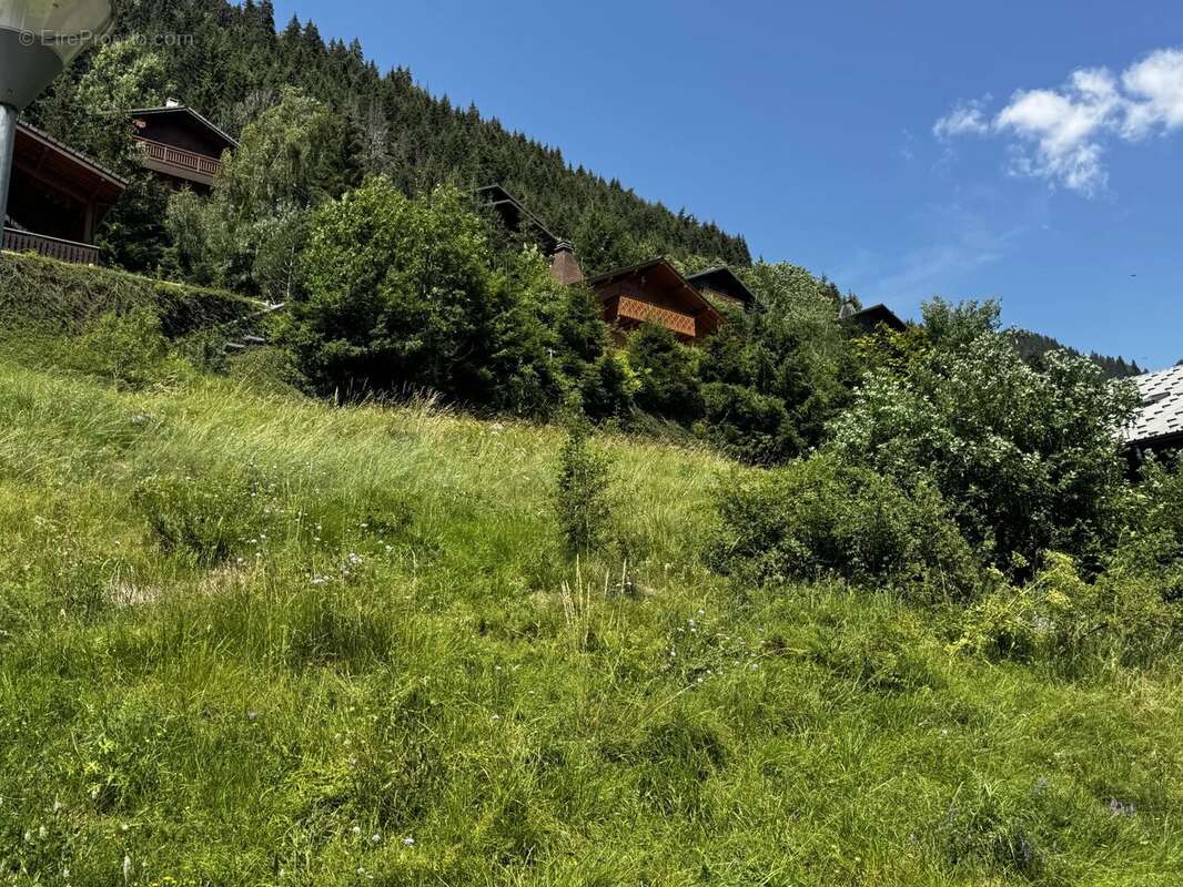 Terrain constructible de 1022 m² à LA CHAPELLE D'ABONDANCE - photo 2