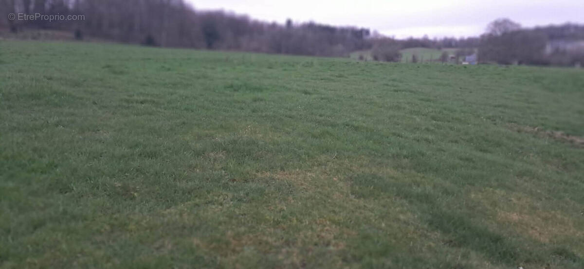 Terrain à GERNELLE