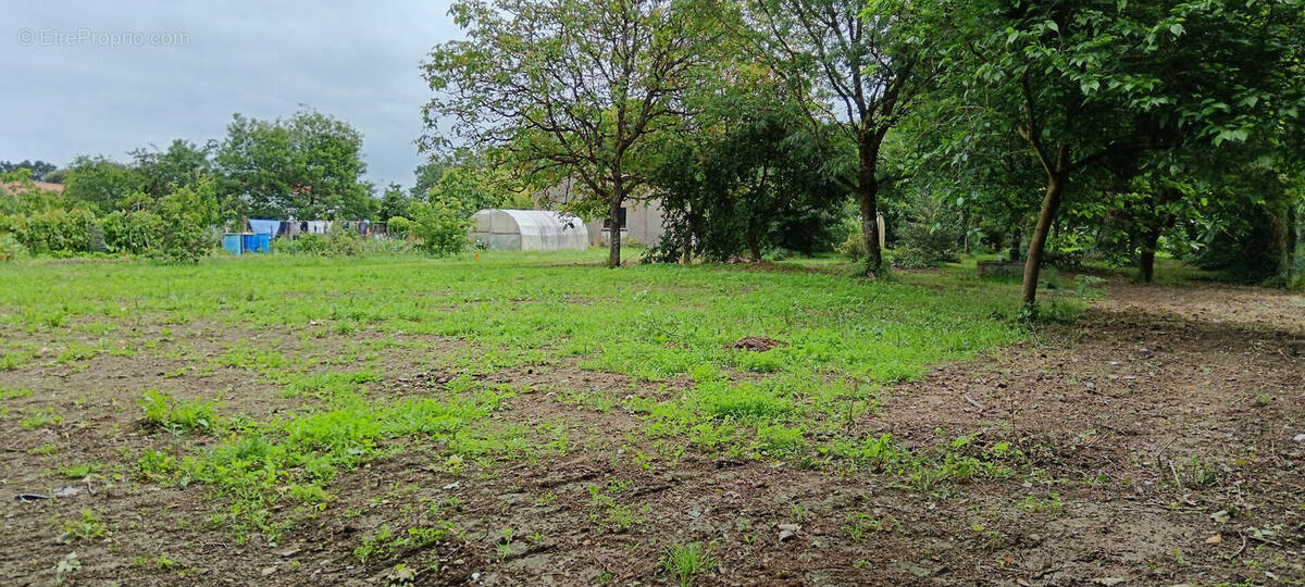 Terrain à LE BIGNON