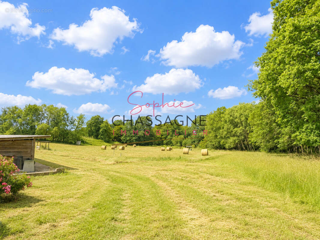 À 30 minutes de Bergerac   Propriété équestre avec 3 logements attenants sur plus de 4 hectares - photo 27