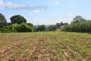 Terrain à PUY-L&#039;EVEQUE
