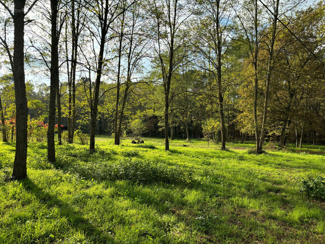 Maison à CASTELJALOUX