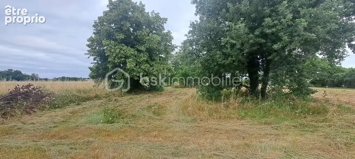 Parcelle constructible avec dépendance - photo 2