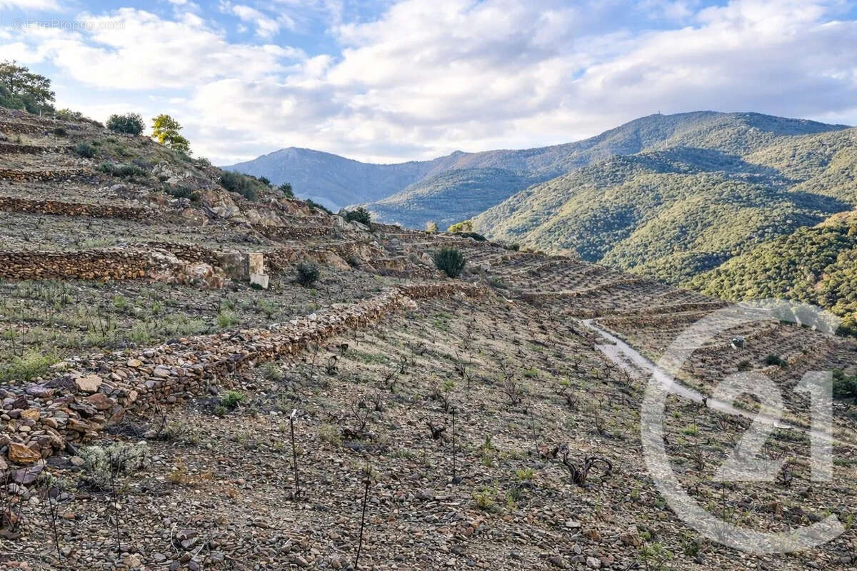 Terrain à COLLIOURE