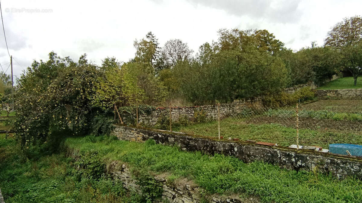 Terrain à RECHICOURT-LE-CHATEAU