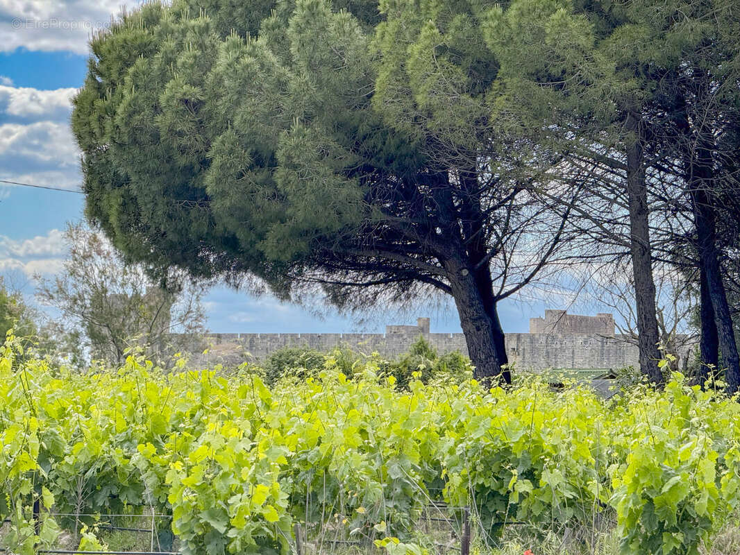 Villa de charme f6 avec piscine au coeur de la camargue - photo 17