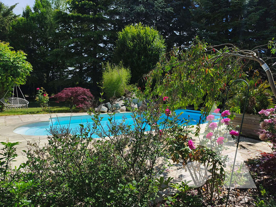 Propriete 6 chambres / jardin avec piscine et garage - photo 13
