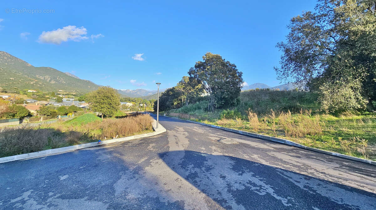 Terrain à BASTELICACCIA