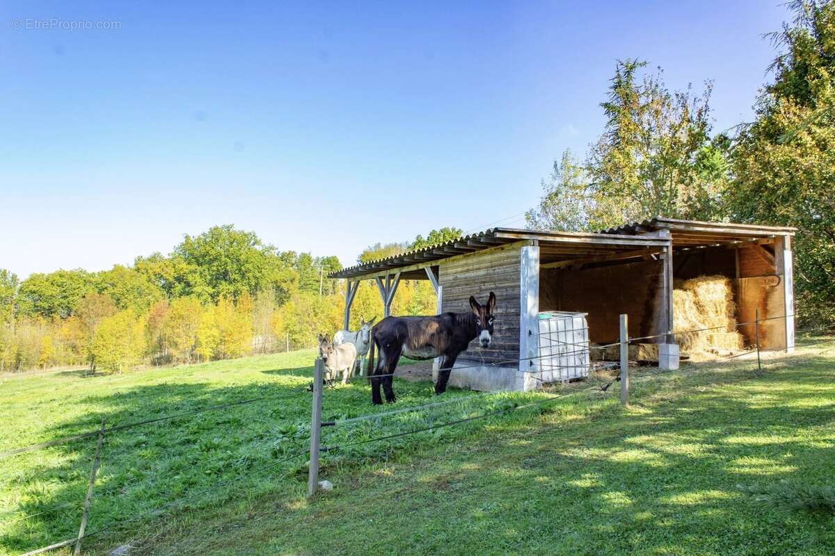 Maison à TOURNON-D&#039;AGENAIS