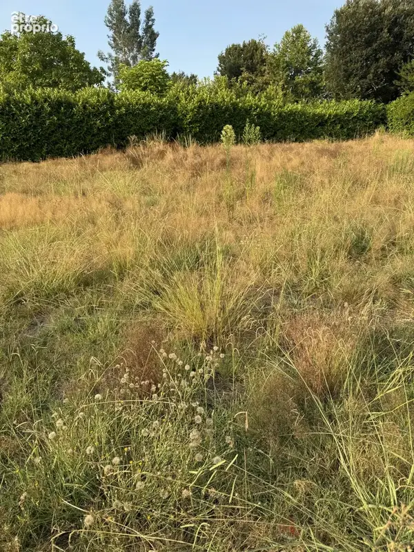 Terrain 530 m² à vendre à Saint-Paul-Les-Dax (40990) - photo 2