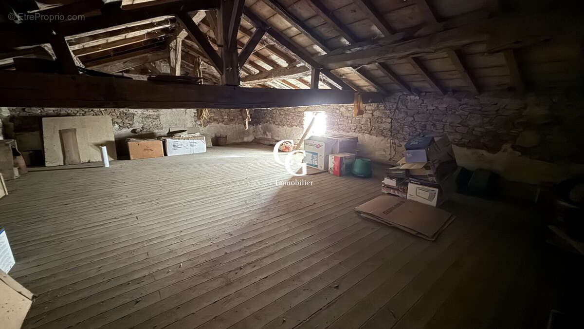Maison à VIEILLEVIGNE