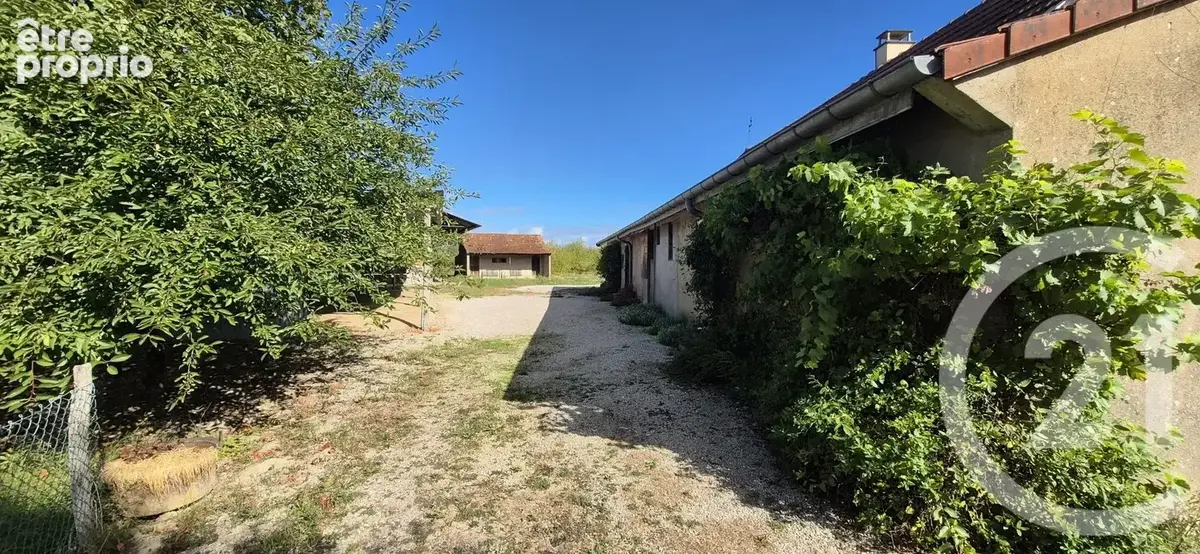 Maison 4 pièces 85 m² à vendre à Branges (71500) - photo 2