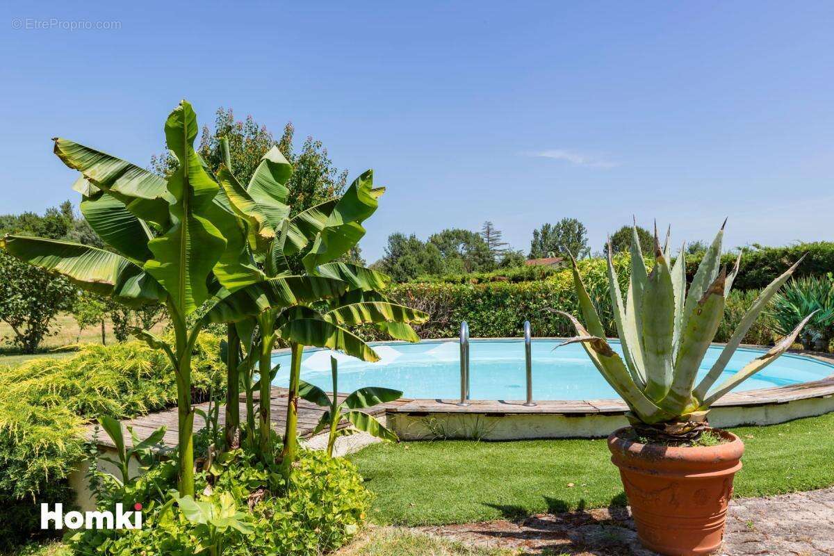 Maison/Villa T6 de 180 m2 à La Magdelaine-sur-Tarn 31360 - photo 15