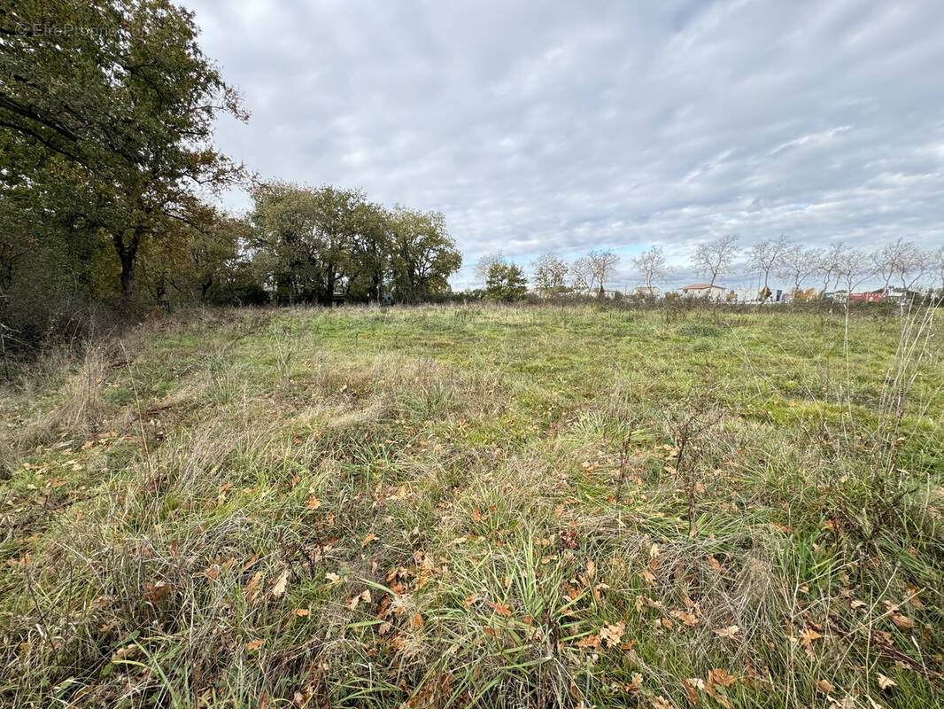 Terrain à FONSORBES