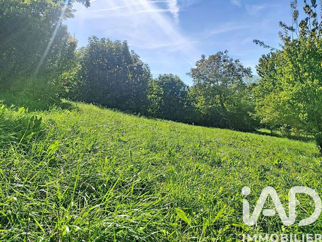 Photo 6 - Maison à CHANTEMERLE-LES-BLES