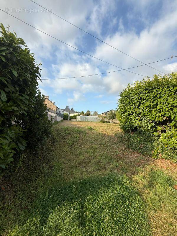 Terrain à LANGUEUX