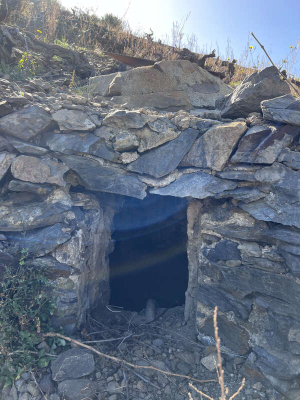 Terrain à BANYULS-SUR-MER