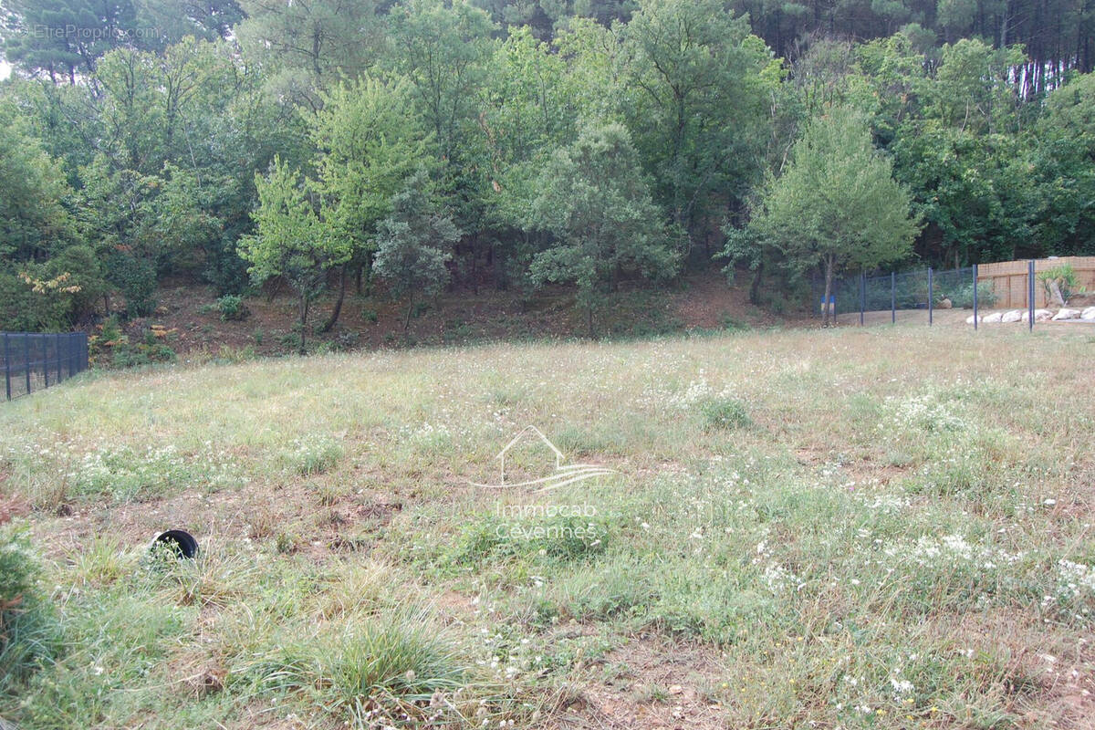 Terrain à SAINT-MARTIN-DE-VALGALGUES