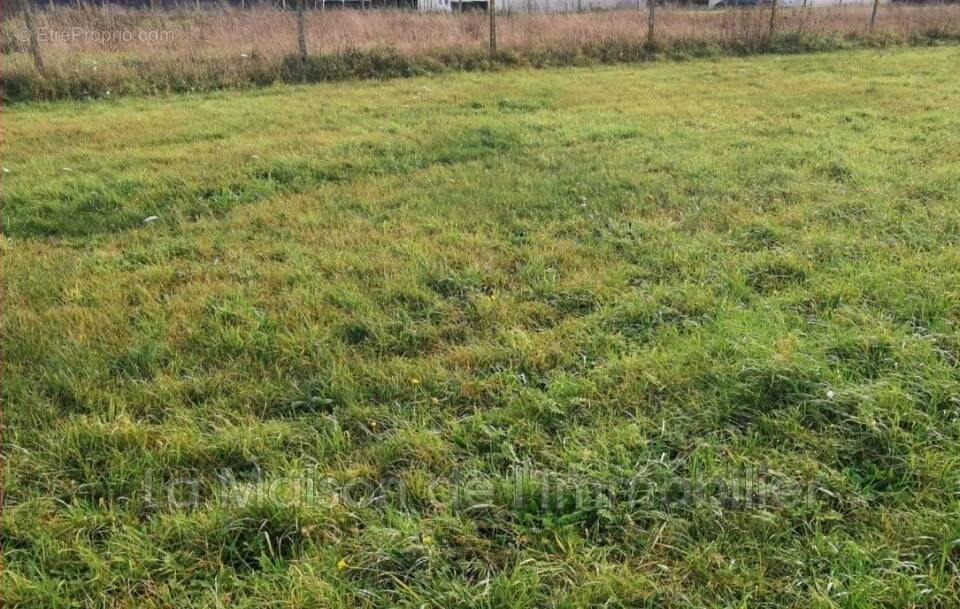 Terrain à SAINT-PIERRE-LES-ELBEUF