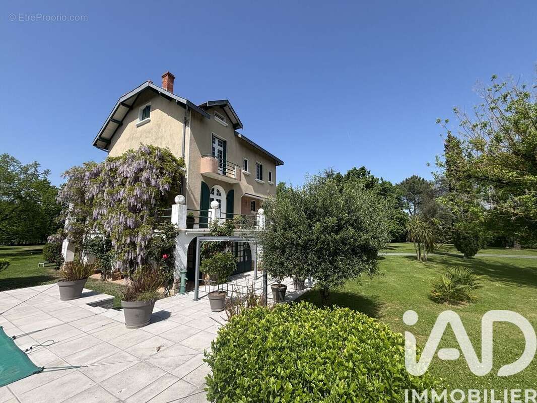 Photo 5 - Maison à LISLE-SUR-TARN