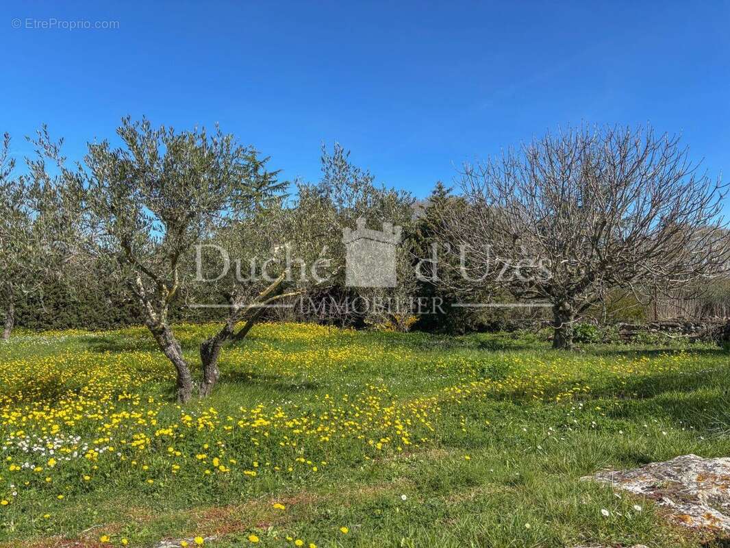 Photo 3 - Maison à UZES
