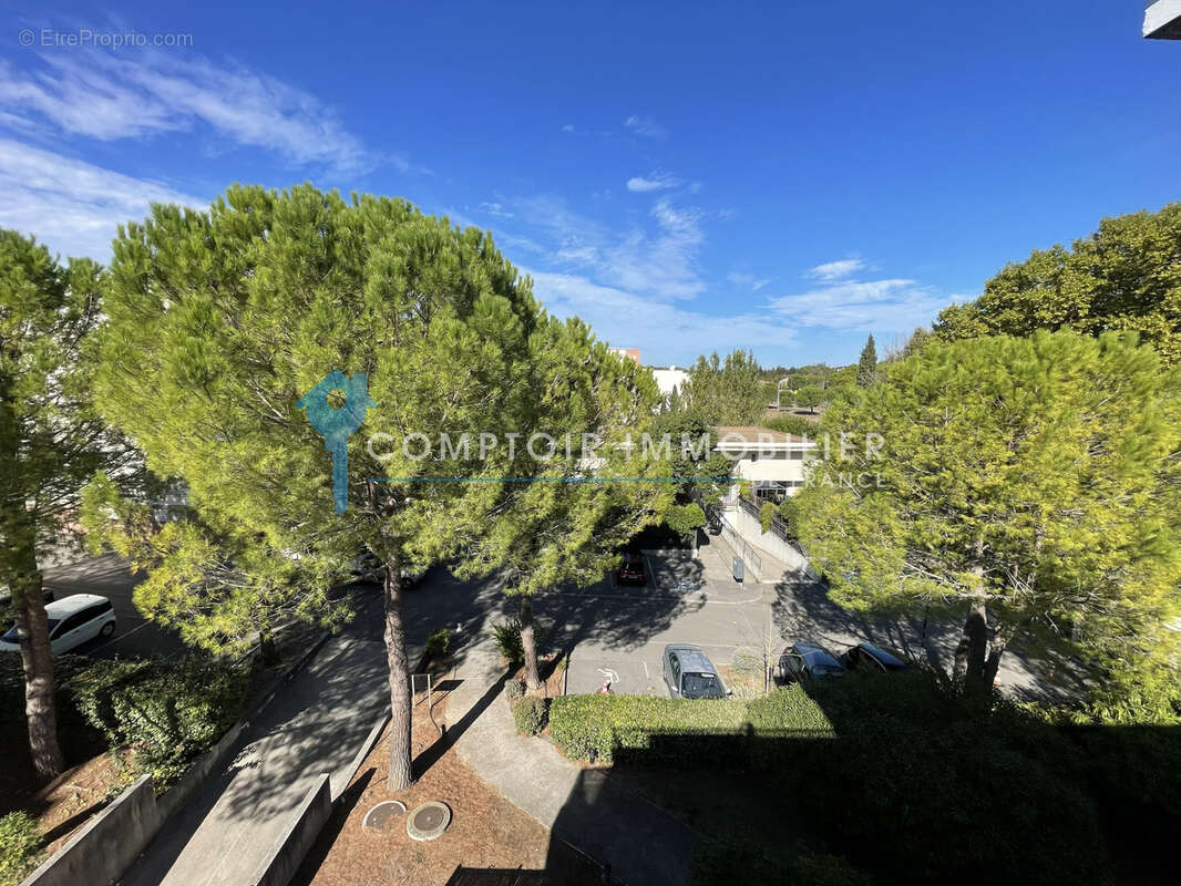 Montpellier (MALBOSC)  Apt T3 lumineux de 76 m2 avec 1 Garage et 1 parking extérieur - photo 4