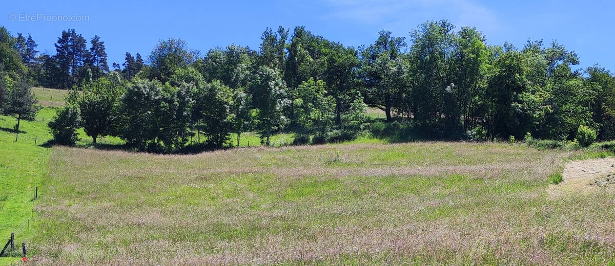 Terrain à SAINT-PAUL-EN-CORNILLON