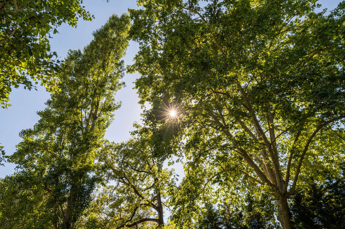 Appartement à LA COLLE-SUR-LOUP