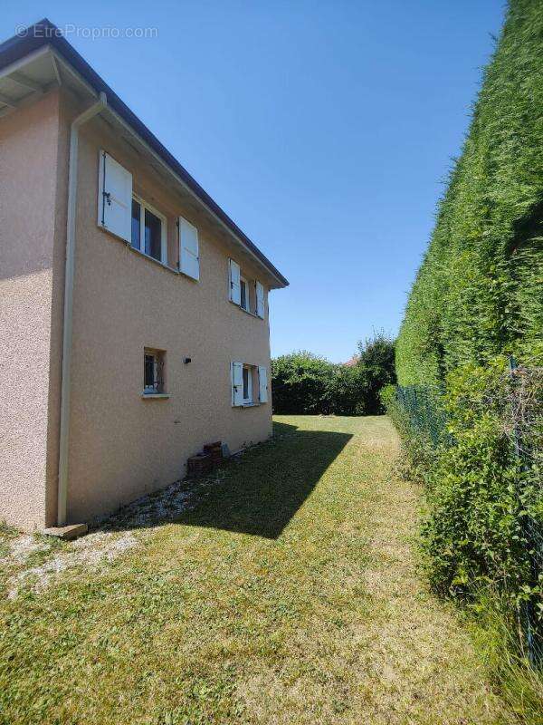 Maison La Buisse - photo 13