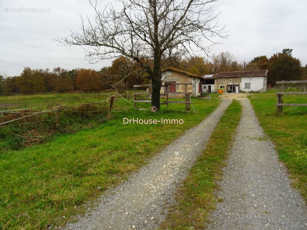 Maison 270 m² à Saint-Andre-De-Cubzac  - photo 2