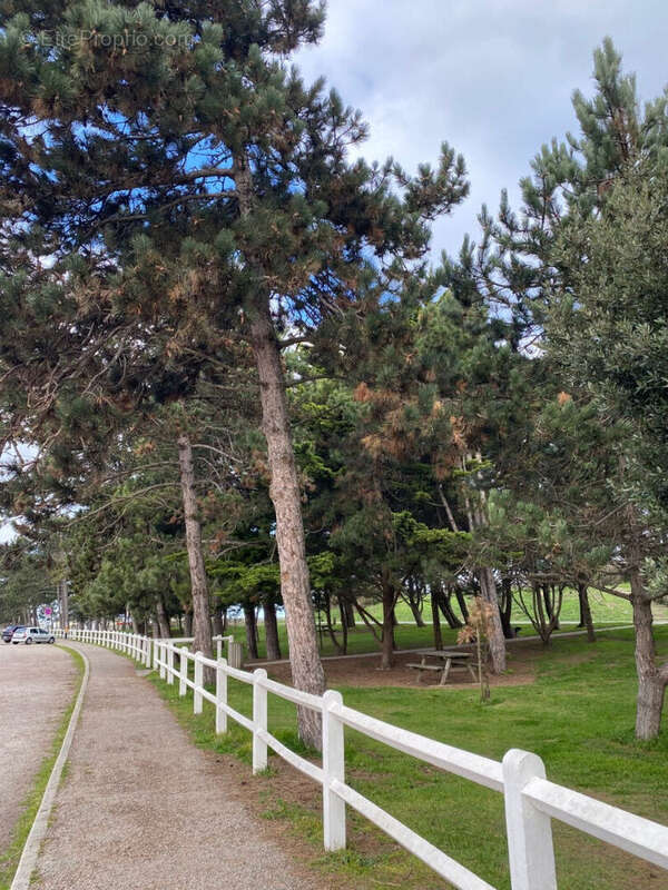 Appartement à OUISTREHAM