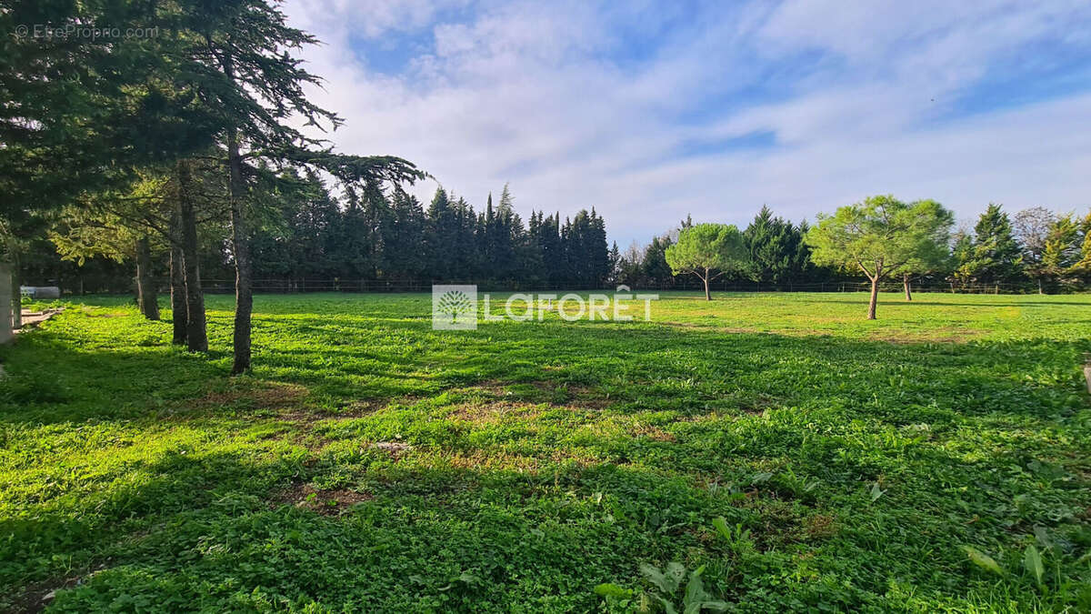 Maison à CAGNAC-LES-MINES