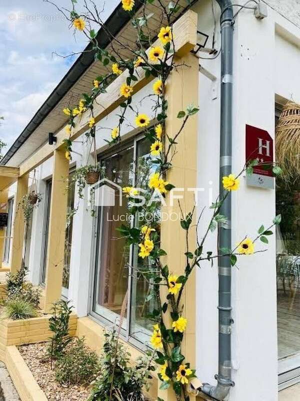 Photo 8 - Commerce à MESVES-SUR-LOIRE