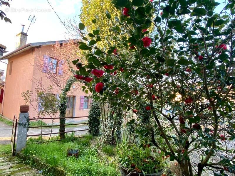 Maison à SAINT-SEVER