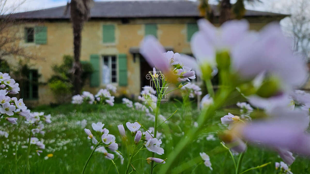 Maison en pierre de 180 m2, 4 chambres - en campagne - secteur eauze - photo 3