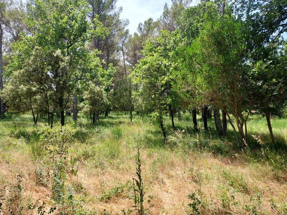 Terrain 847 m² à Gareoult  - photo 3