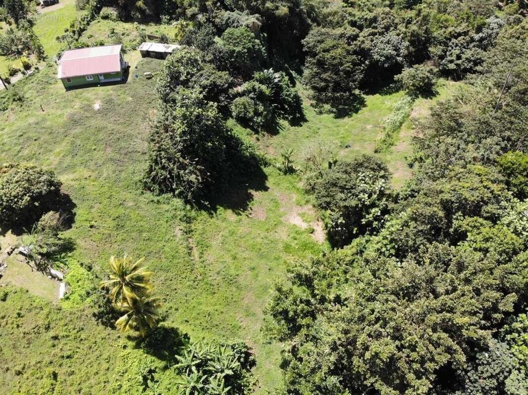 Photo 2 - Terrain à SAINTE-MARIE