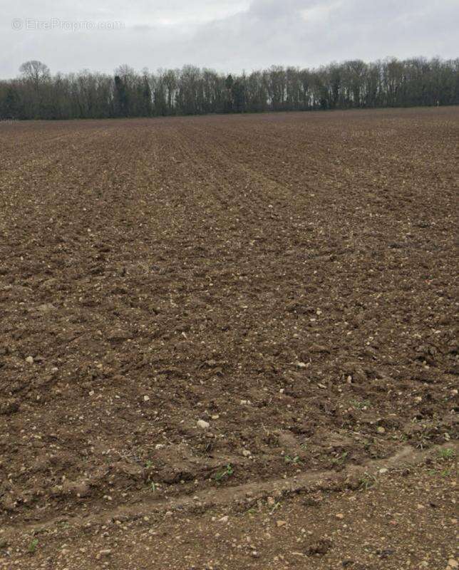 Terrain à SAINT-XANDRE