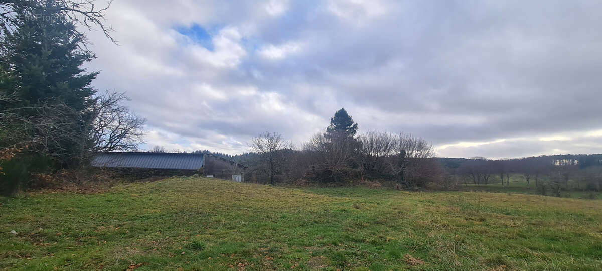 Terrain à MERCOEUR