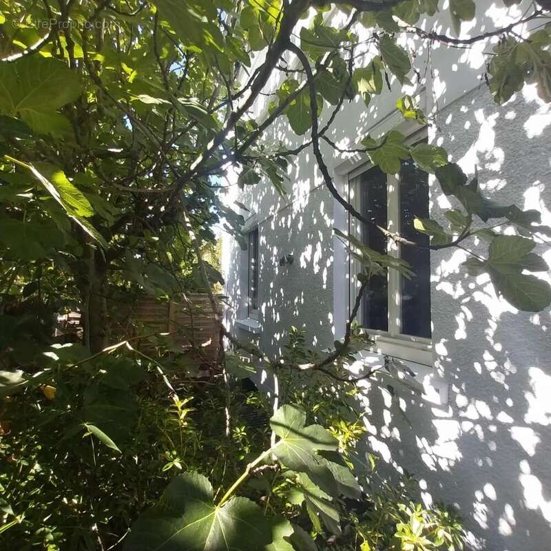 Photo 3 - Maison à CLAMART