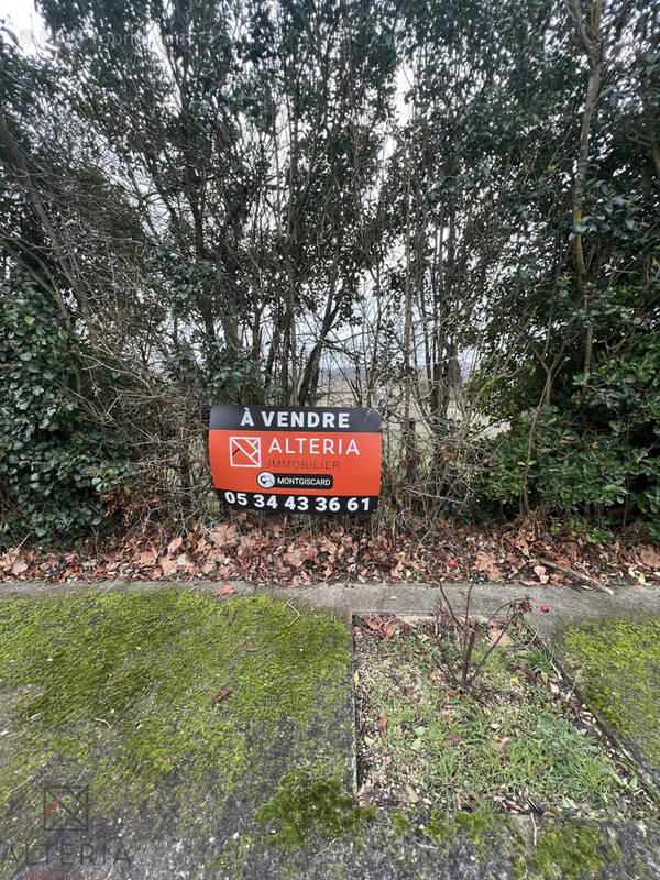 Terrain à AVIGNONET-LAURAGAIS