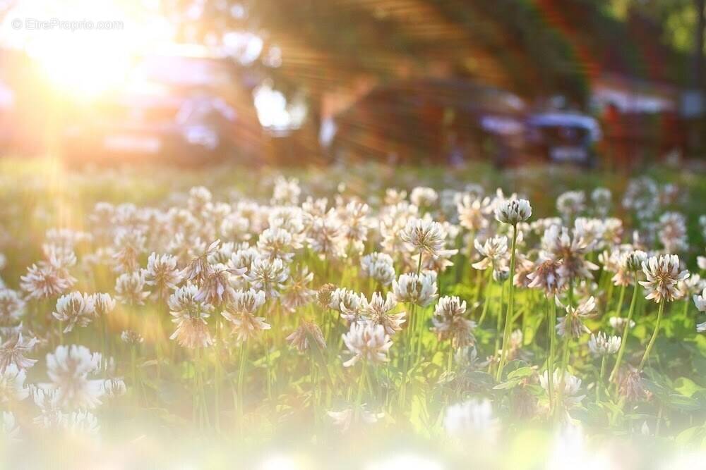 Terrain à MONTCY-NOTRE-DAME