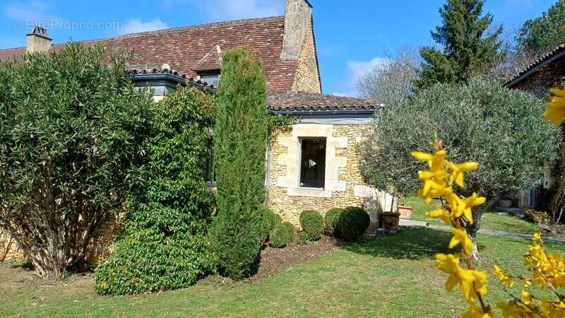 Maison à SAINTE-ALVERE