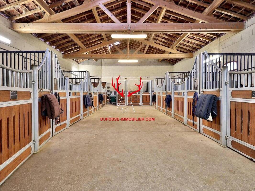 Photo 1 - Maison à CHATILLON-SUR-CHALARONNE