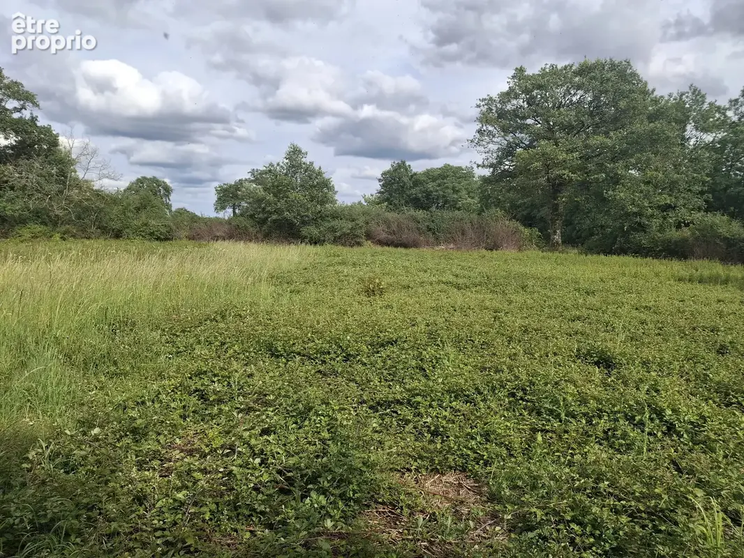Terrain commercial avec bâtiment à rénover – Périphérie de Bellac - photo 4