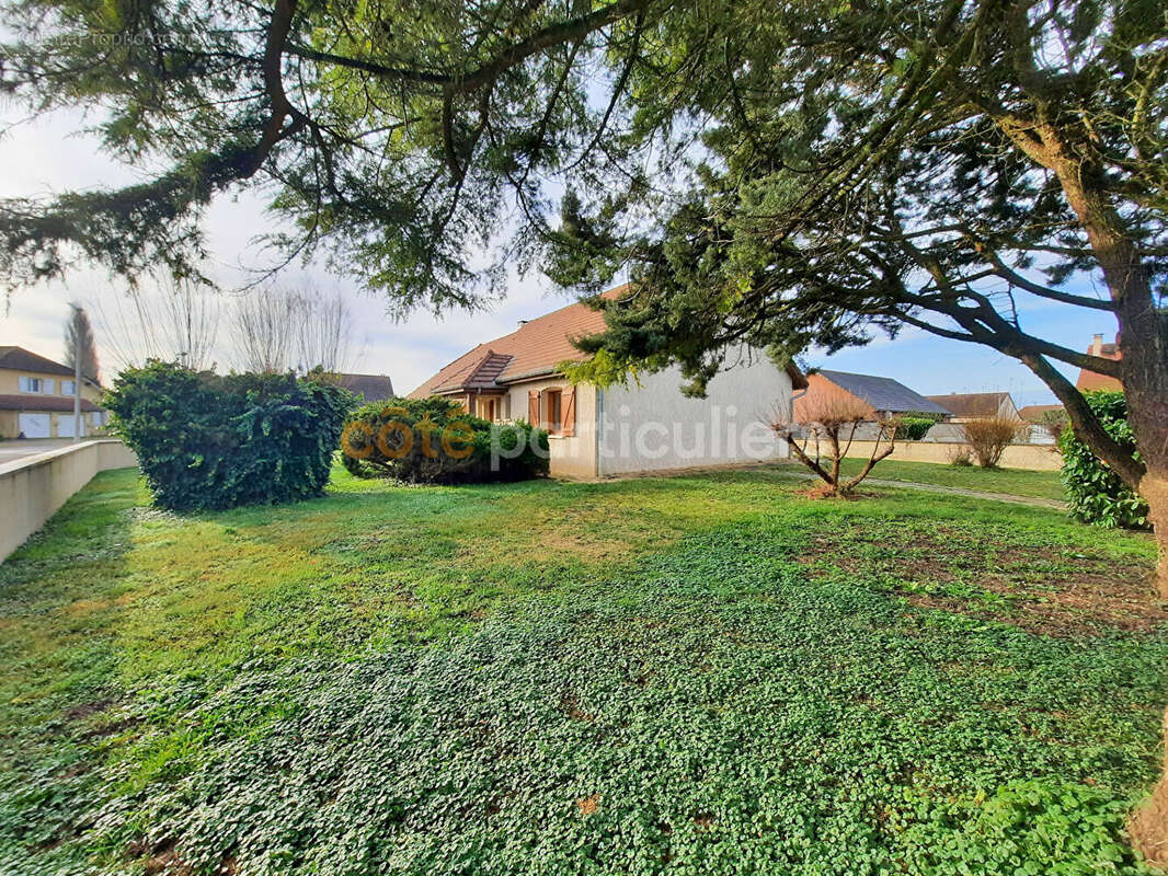 Maison à PETIT-NOIR