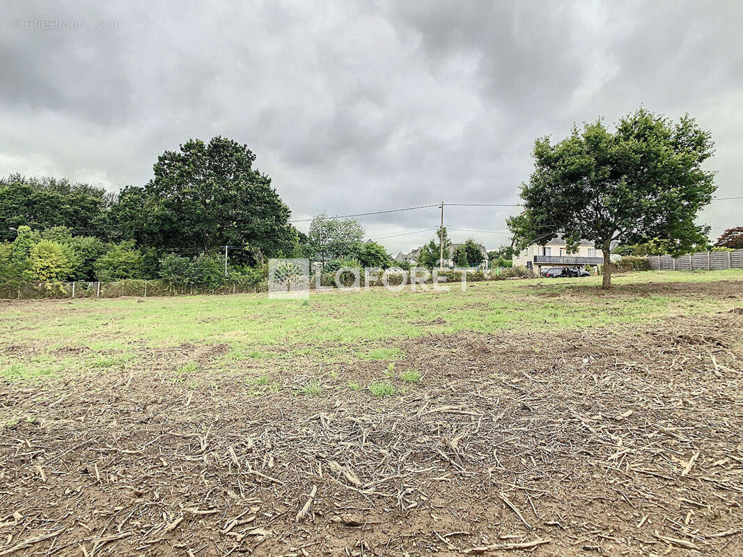 Terrain à MERDRIGNAC